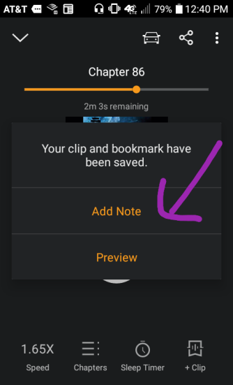 In addition to the anchor on audio, you can add your own note for Future You